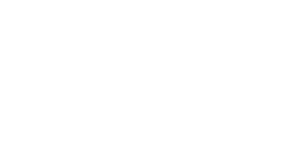 IRonin - Software House