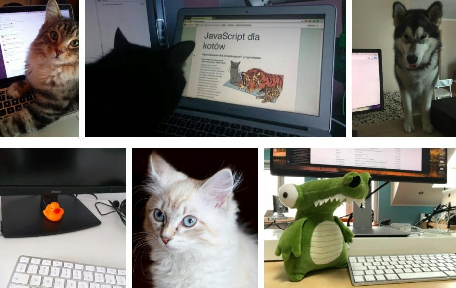 Blog post image